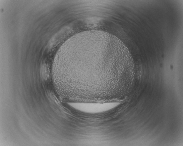 X0000051880606200507081915