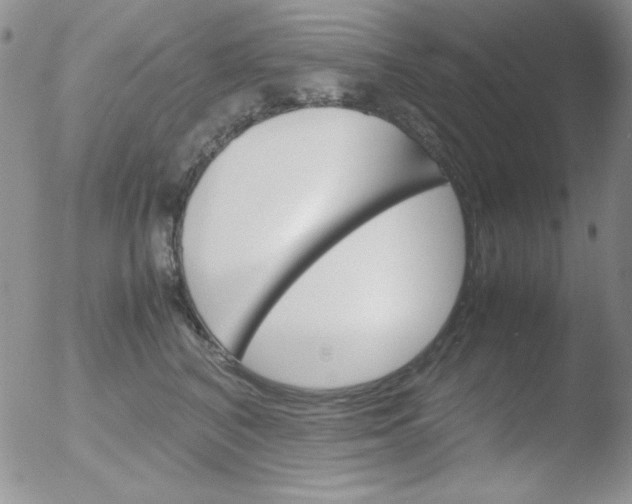 X0000051880616200507081915