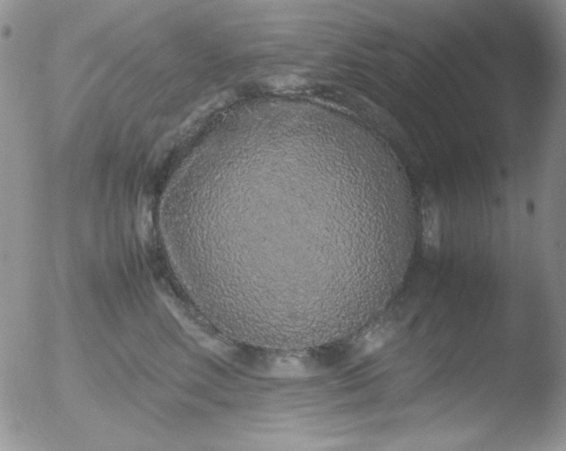 X0000051880618200507081915