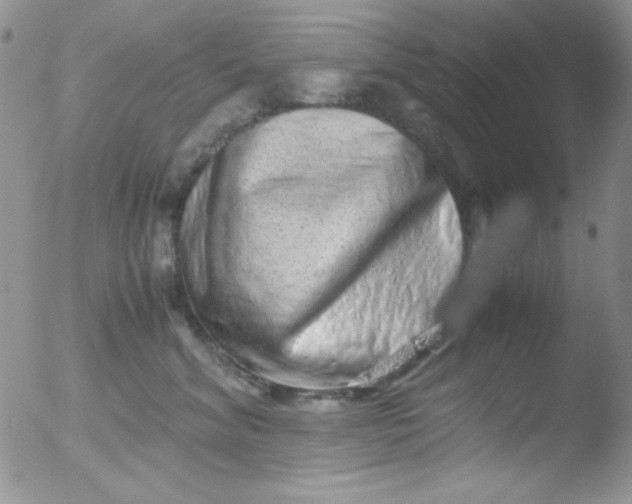 X0000051880620200507081915