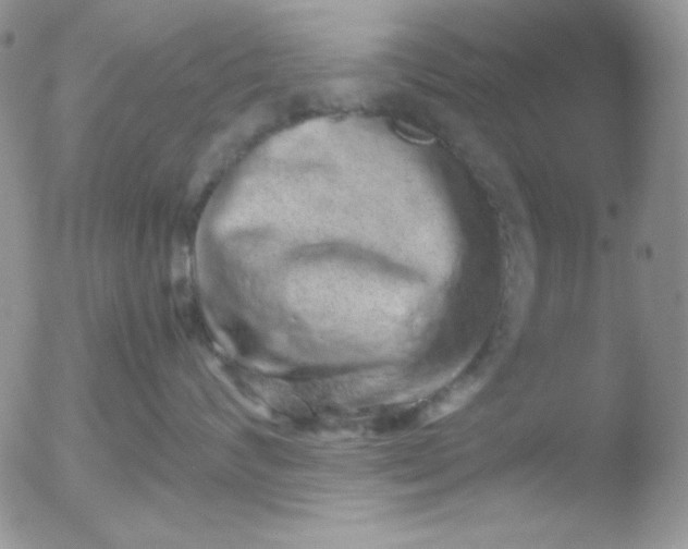 X0000051880624200507081915