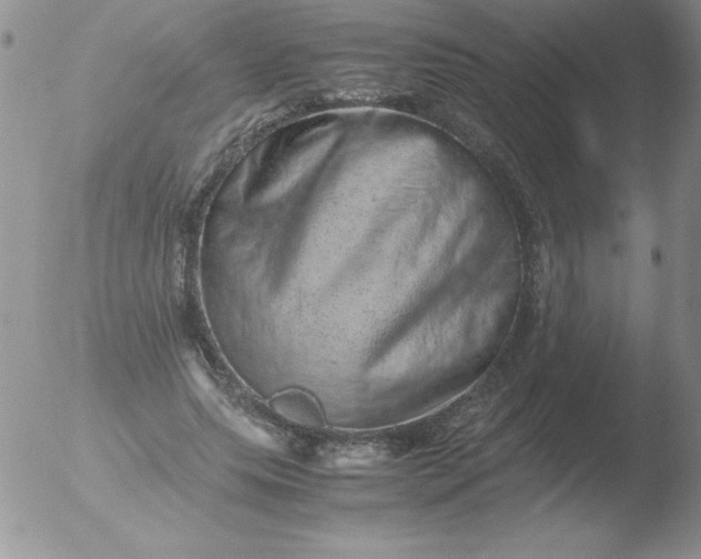 X0000051880639200507081914
