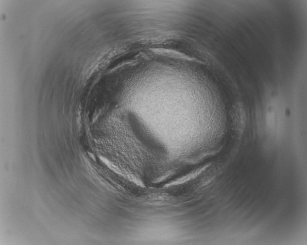 X0000051880642200507081914
