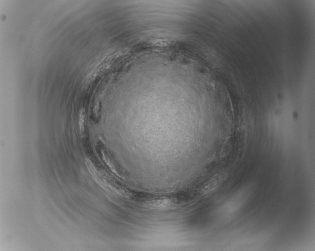 X0000051880646200507081914