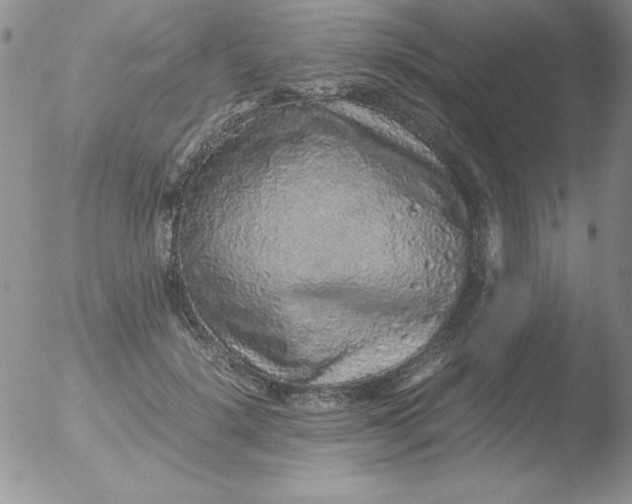 X0000051880652200507081914