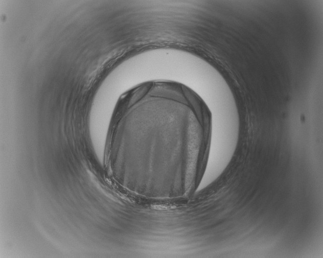 X0000051880690200507081914