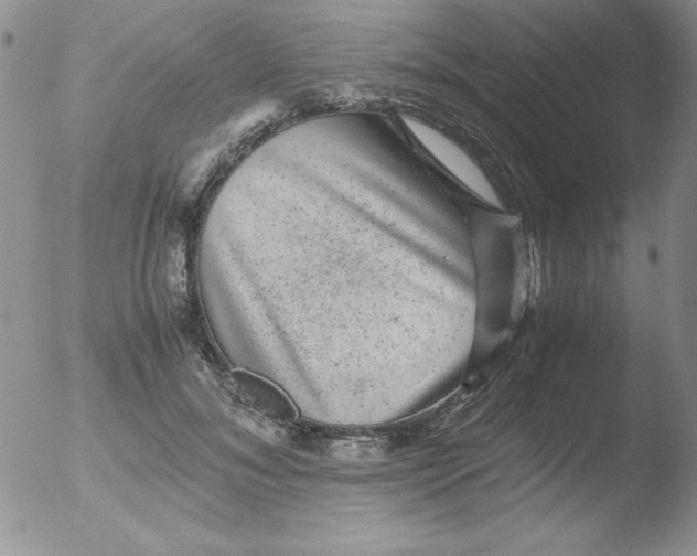 X0000051880700200507081913