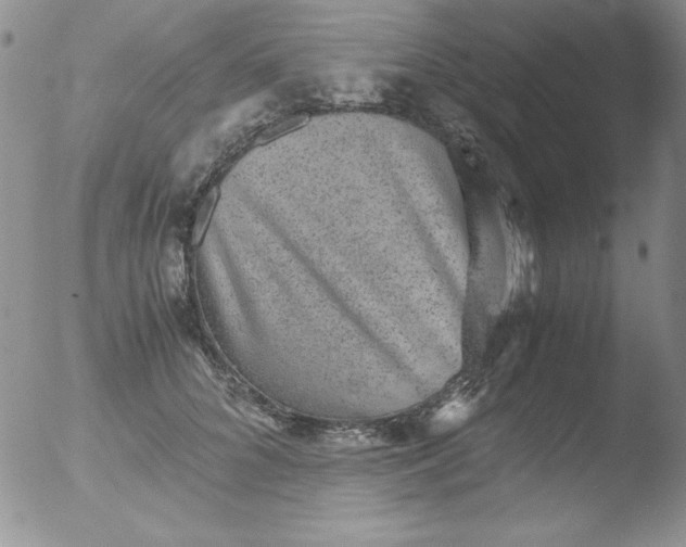 X0000051880704200507081913