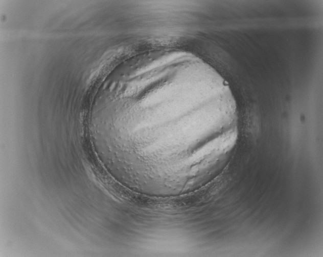 X0000051880738200507081913