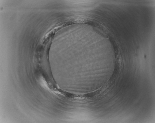 X0000051880744200507081913