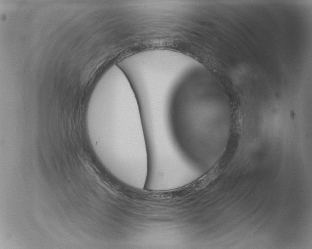 X0000051880746200507081913