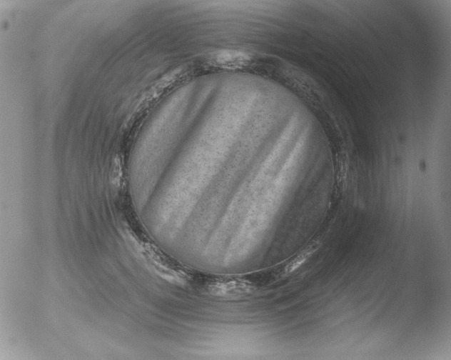 X0000051880752200507081913