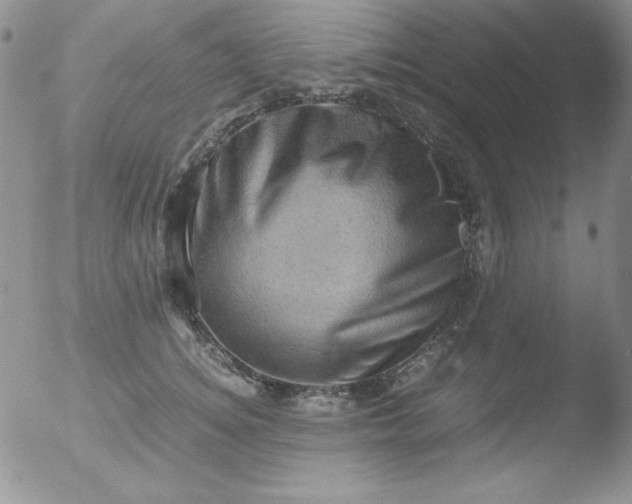 X0000051880756200507081913
