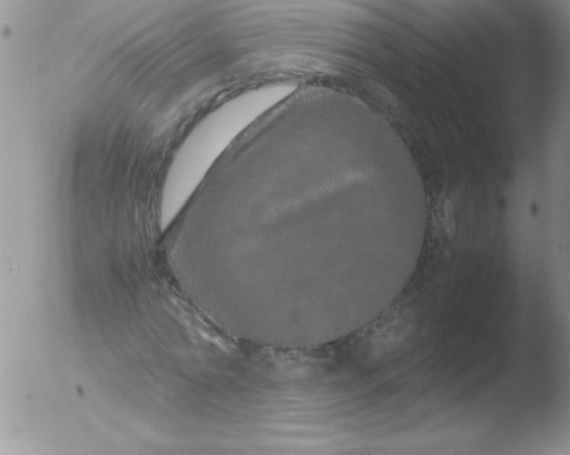 X0000051880774200507081912