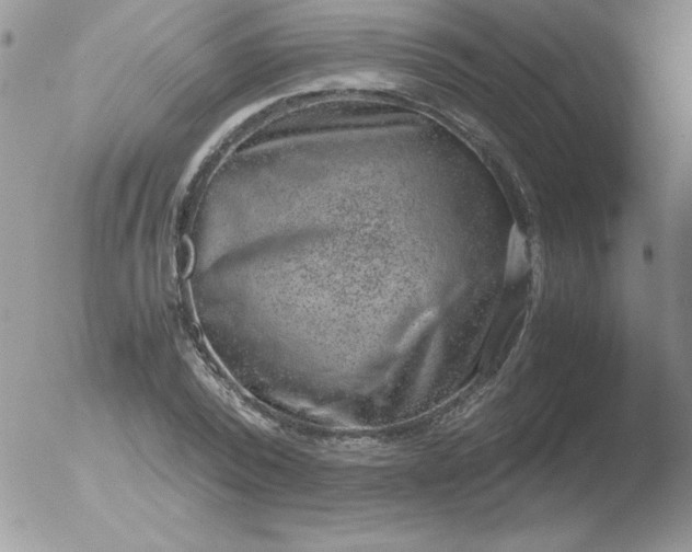 X0000051880784200507081912