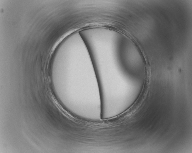 X0000051880787200507081912
