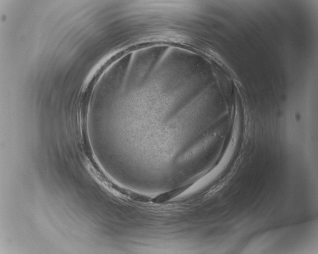 X0000051880788200507081912