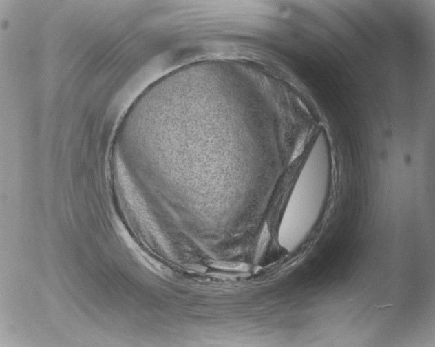 X0000051880803200507081912