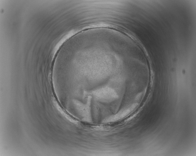 X0000051880805200507081912