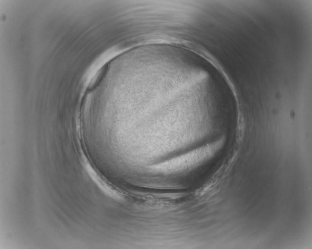X0000051880811200507081912