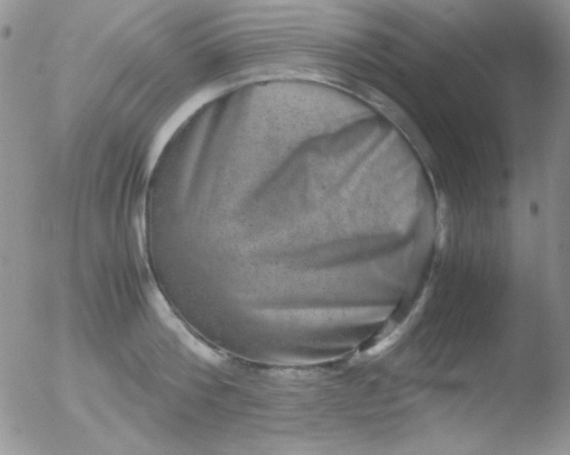 X0000051880812200507081912