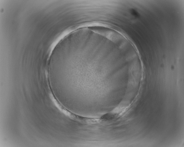 X0000051880813200507081912