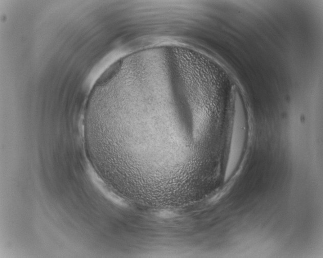 X0000051880814200507081912