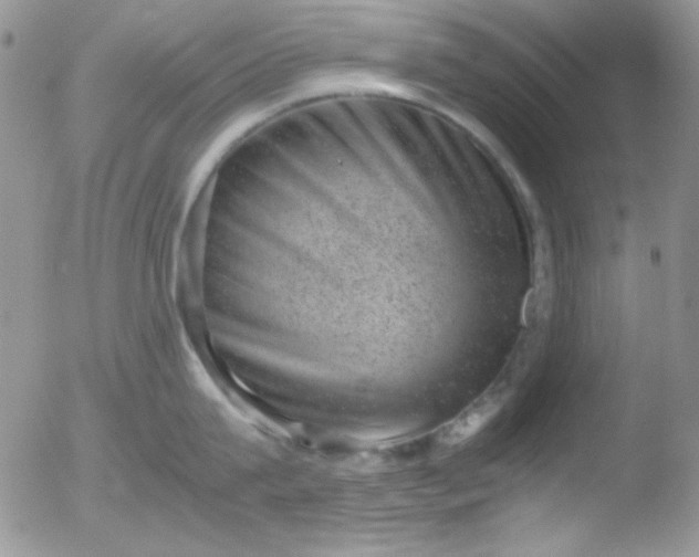 X0000051880815200507081911