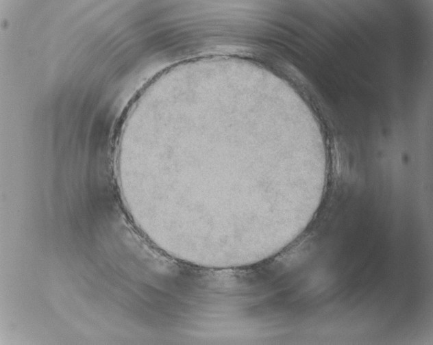 X0000051880828200507081911