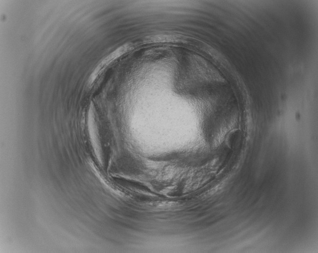 X0000051880841200507081911