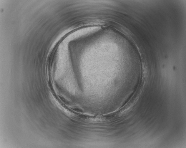 X0000051880843200507081911