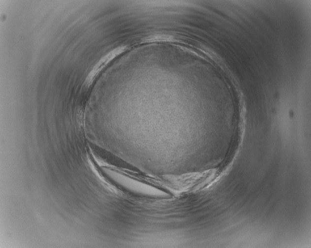 X0000051880849200507081911