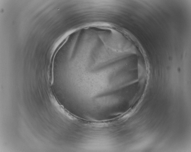 X0000051880860200507081911