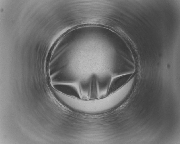 X0000051880884200507081910