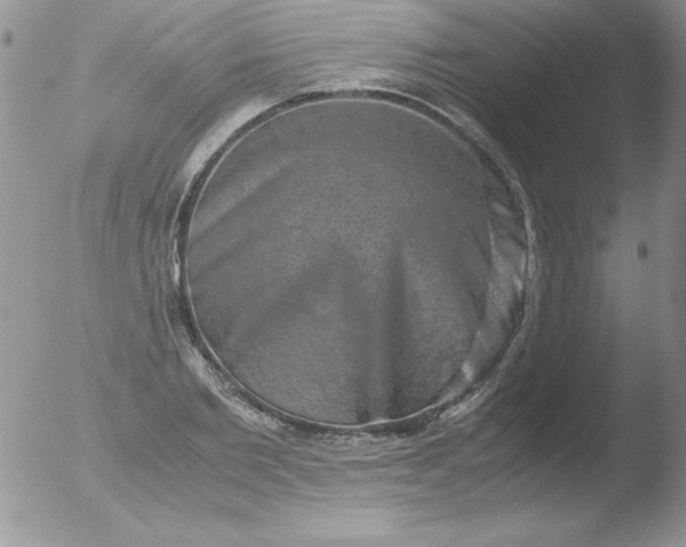 X0000051880885200507081910