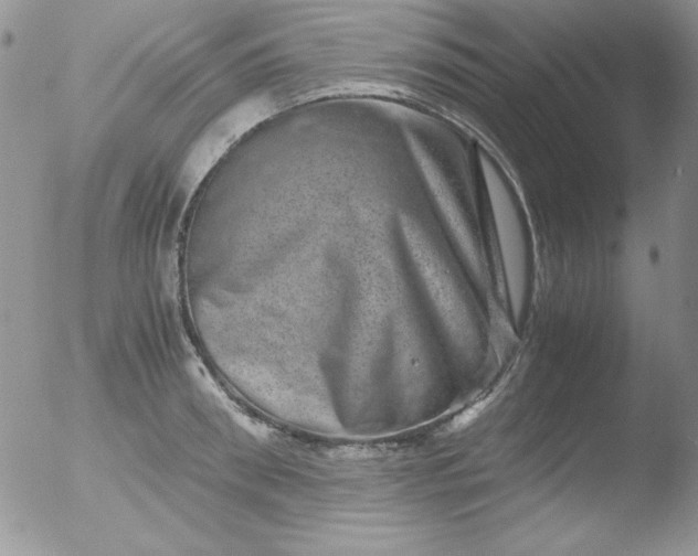X0000051880898200507081910