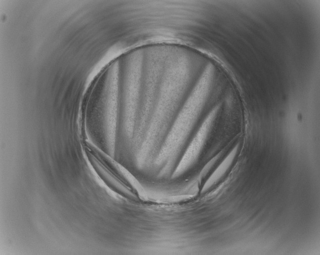 X0000051880902200507081910