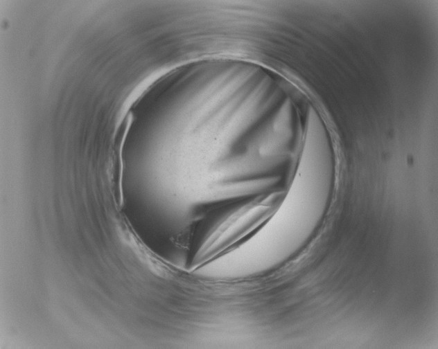 X0000051880956200507081910