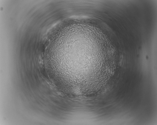 X0000051880966200507081909
