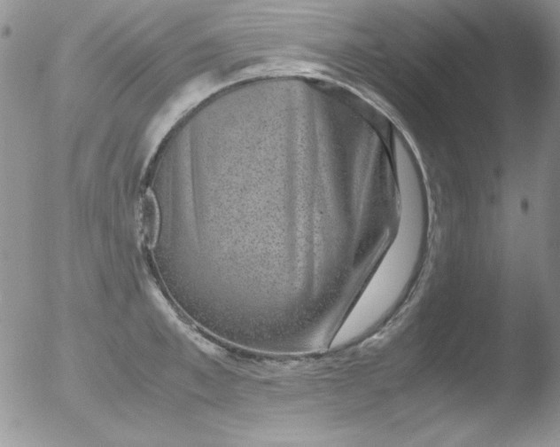 X0000051880997200507081908
