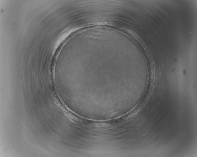 X0000051881023200507081908