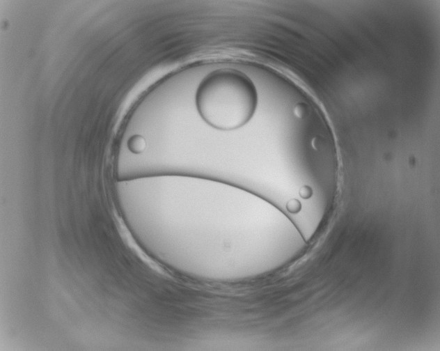 X0000051881053200507081908