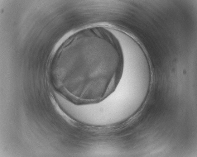 X0000051881054200507081908
