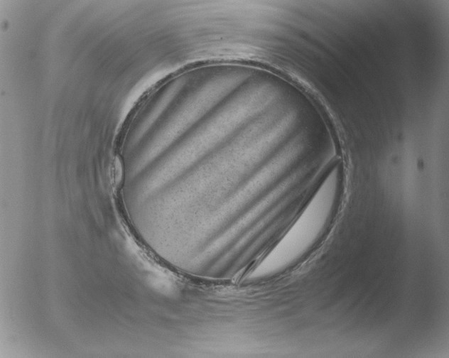 X0000051881085200507081907