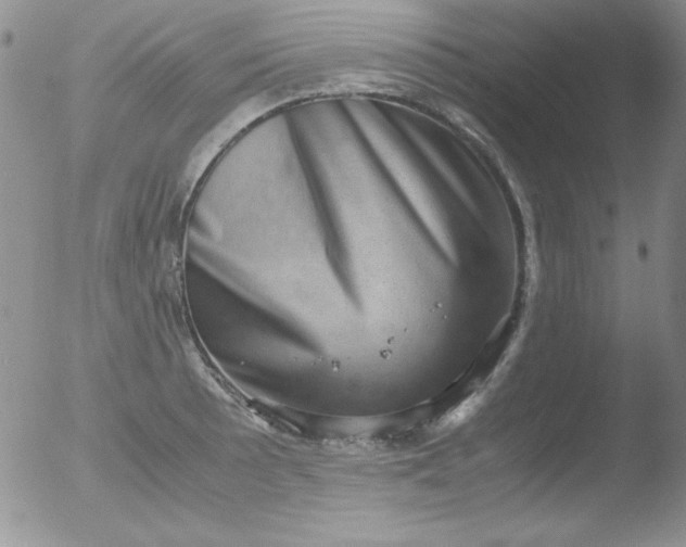 X0000051881089200507081907