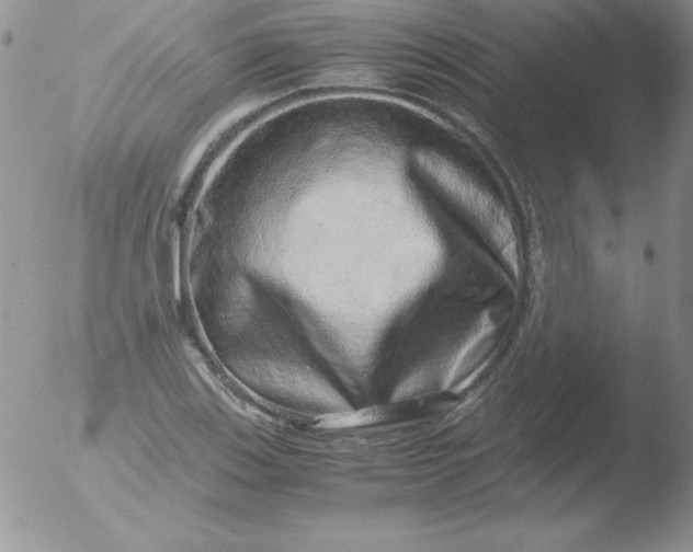 X0000051881123200507081906