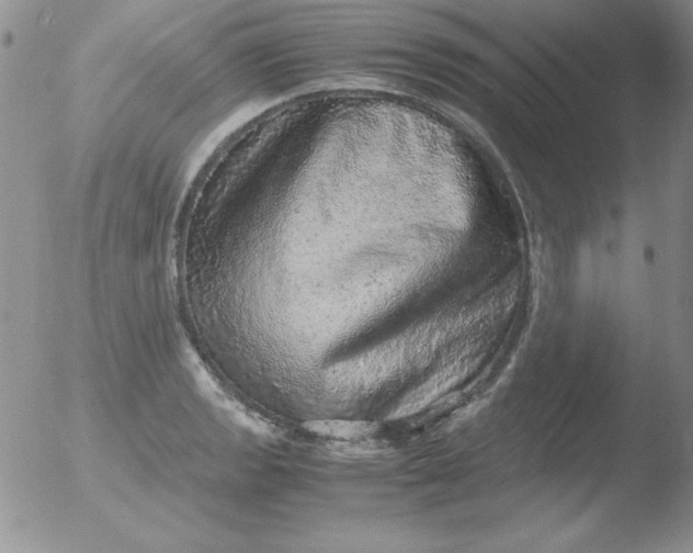 X0000051881133200507081906