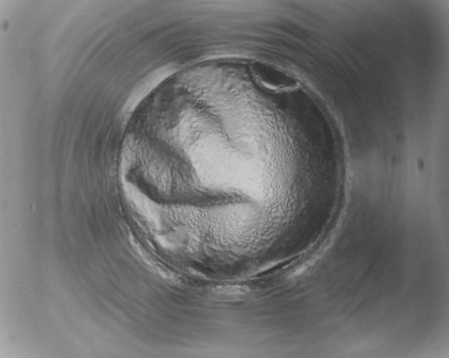 X0000051881137200507081906
