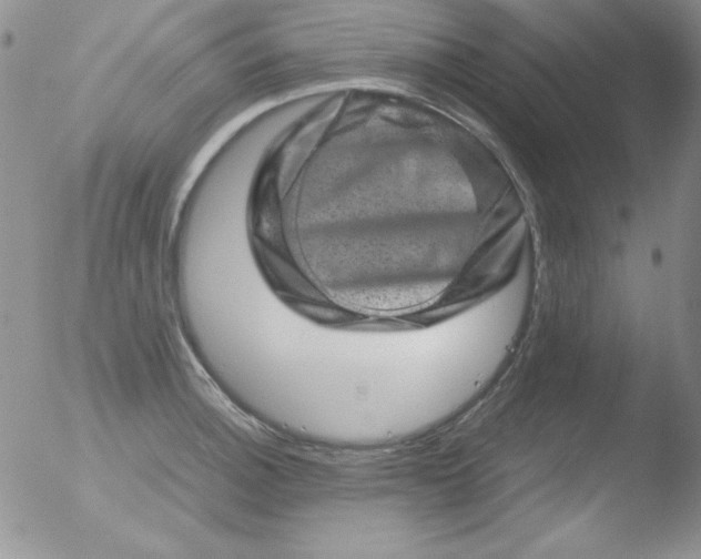 X0000051881140200507081906