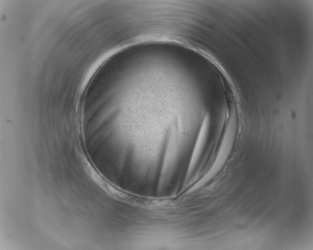 X0000051881148200507081907